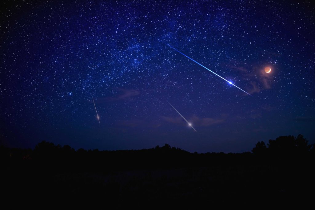 stelle cadenti su panorama boscoso