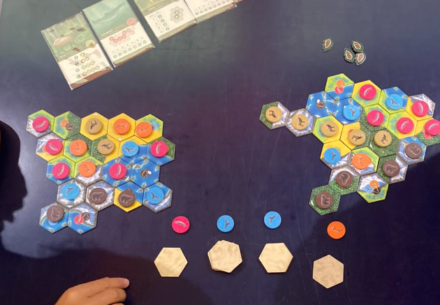 gioco da tavolo con piastrine a forma di esagono