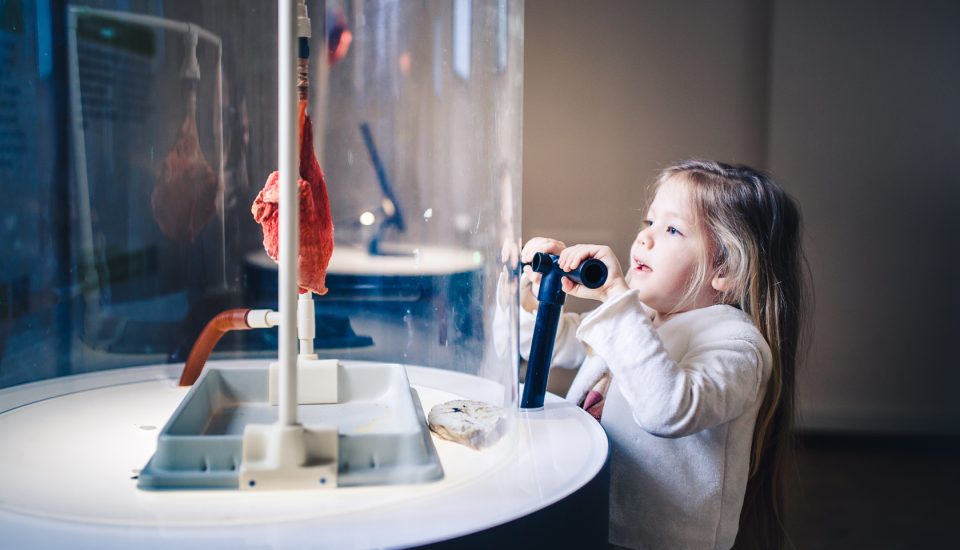 Bambina che gonfia un polmone dentro una teca con una pompa da bicicletta. Luce sulla bambina e sulla postazione, il resto dell'ambiente in penombra.